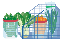野菜室内仕切りイラスト